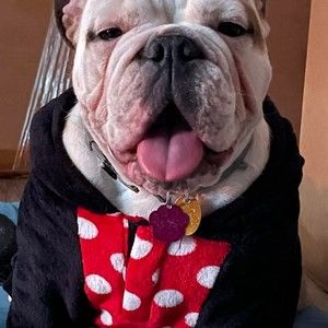 Meet your Posher, William